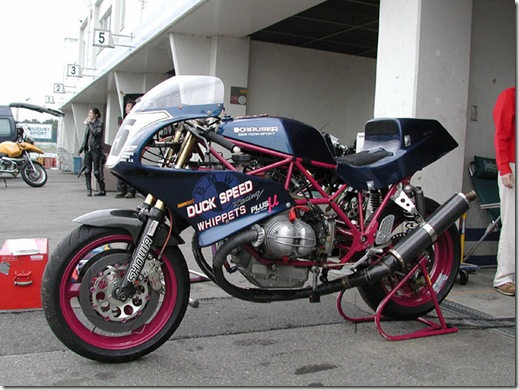 krauser 01