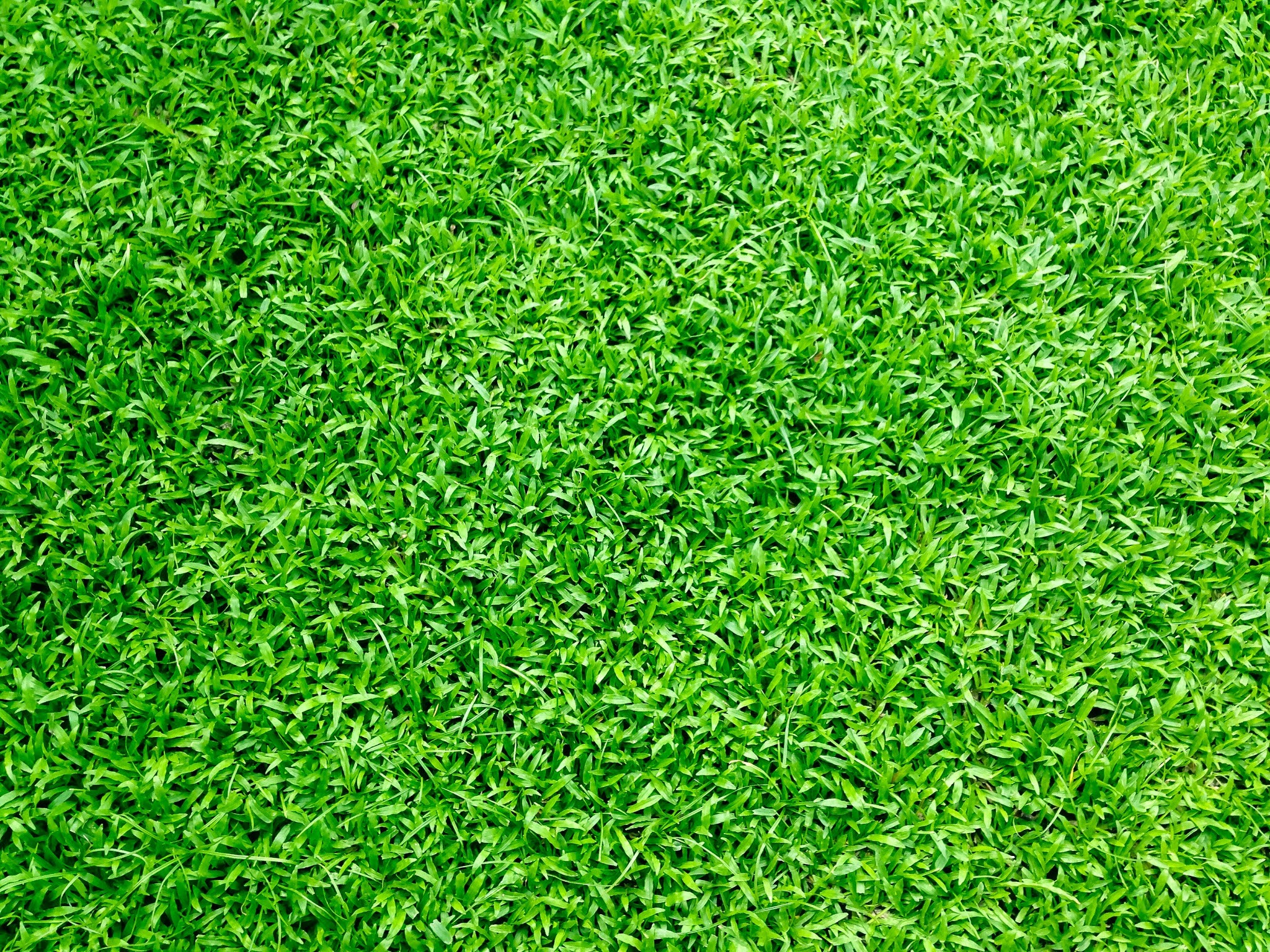 Artificial Grass Melbourne