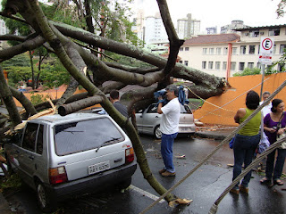 acidente de árvore caída sobre veículo durante temporal