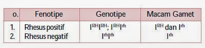 Fenotipe, Genotipe, dan Gamet pada Sistem Rhesus