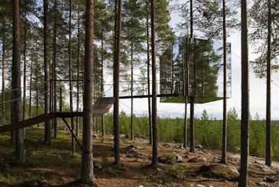 Invisible tree house