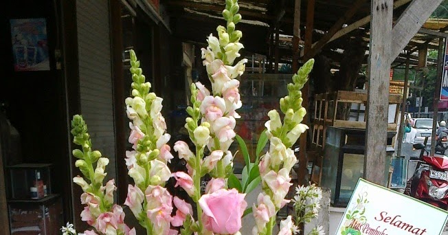 TOKO BUNGA CIKINIFLORIST - JAKARTA: Bunga Ulang Tahun 