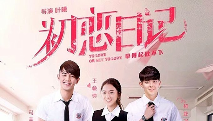 Review Movie Hong Kong : To Love or Not To Love (2017)