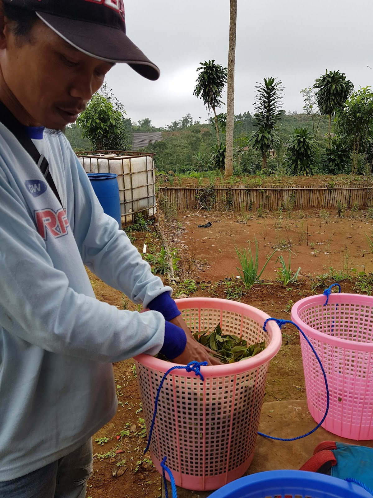 Manager Operasional