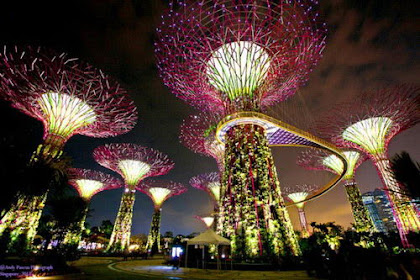 Harga Tiket Gardens by The Bay dan Ketentuannya