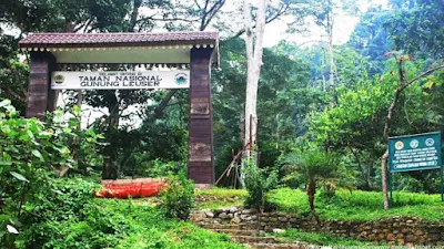 Tempat Wisata di Sumatera Utara Terbaik yang Harus Dijelajahi