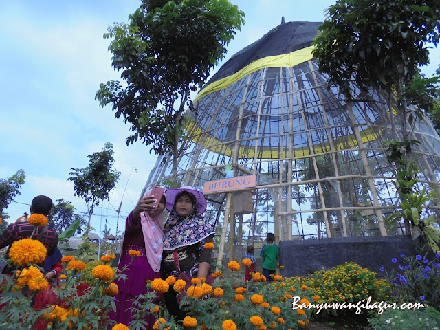 Sangkar burung di agro expo Banyuwangi.