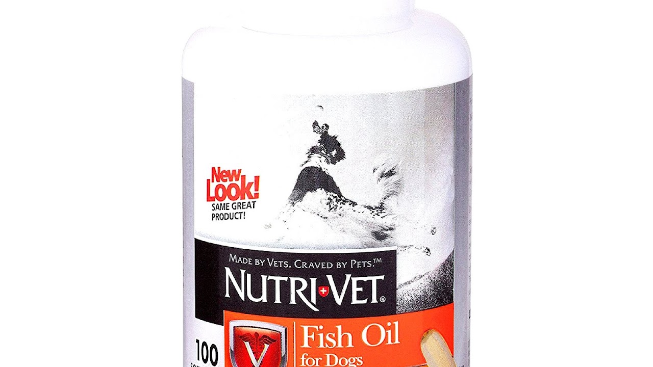 Benefits Of Fish Oil For Dogs