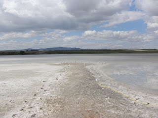 Salada de Median de Aragón