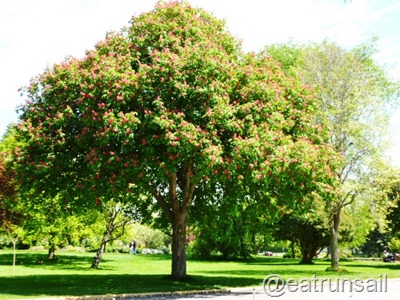 May 20th walk 005