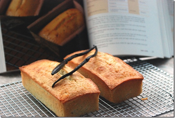 vanillabean pound cake1