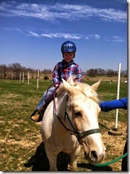horse2