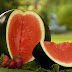 8 Amazing Health Benefits of Watermelon