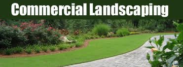 commercial landscaping image