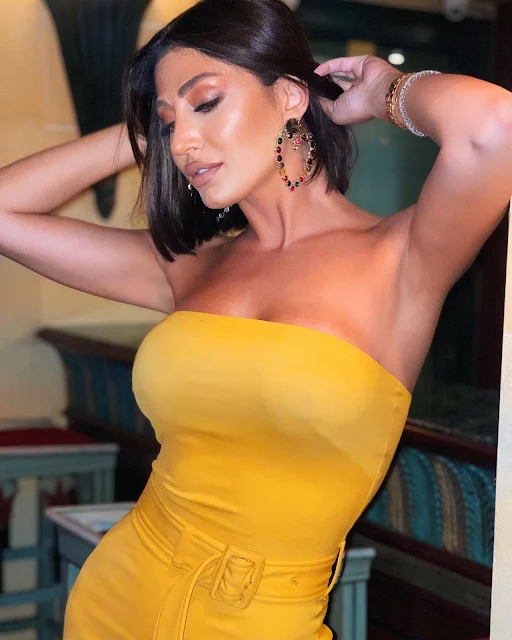 هبة نور ويكبيديا hebanourr هبة نور ويكبيديا hebanourr