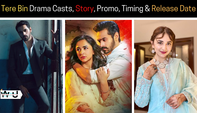 Tere Bin Drama Casts, Story, Promo, Timing & Release Date
