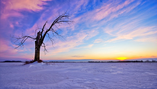 Free Download Winter Sunset HD Wallpapers for iPhone 5