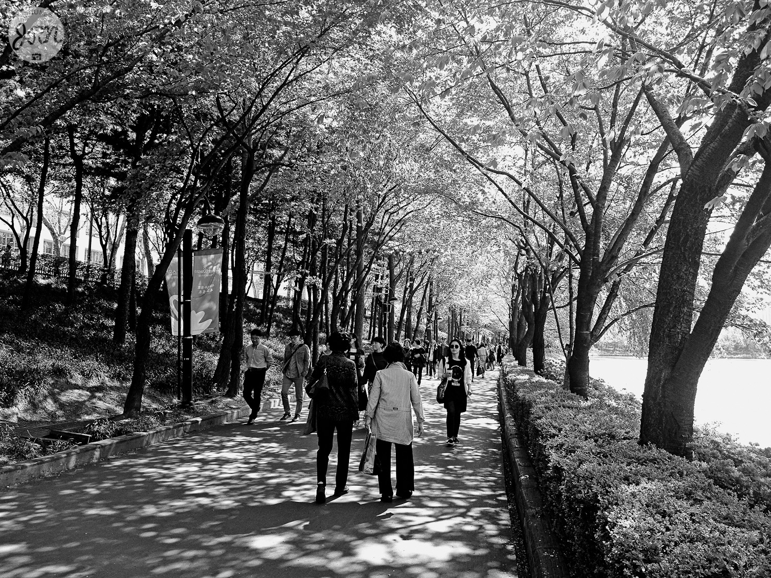 Seokchon Lake, seoul, korea, south korea