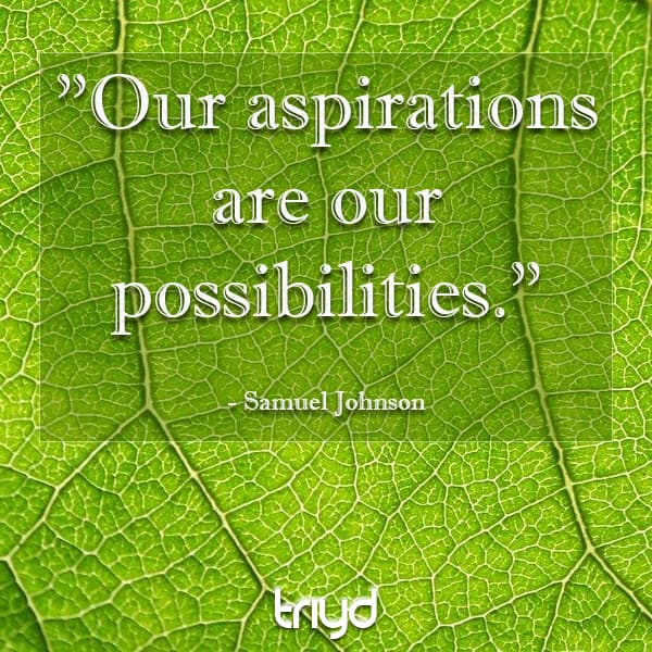 Samuel Johnson Quote: "Our aspirations are our possibilities."