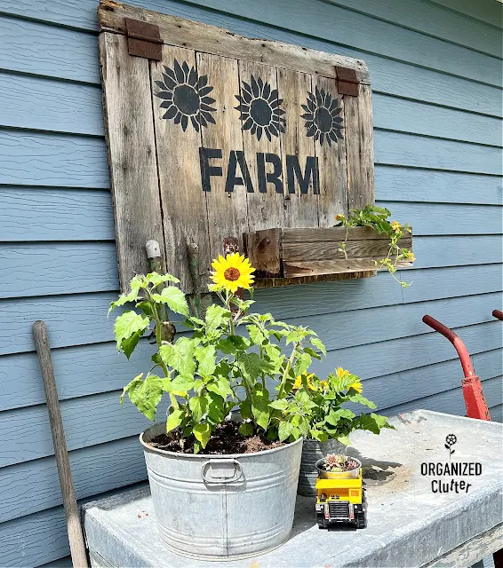 Photo of a barn door sunflower farm sign planter.