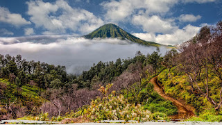 paket kawah ijen blue flame dan sunrise tour