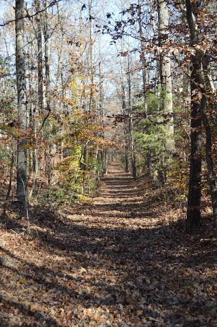 day hike in VA