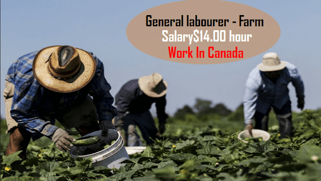 hirning now / Work in canada / farm workers needed in canda 