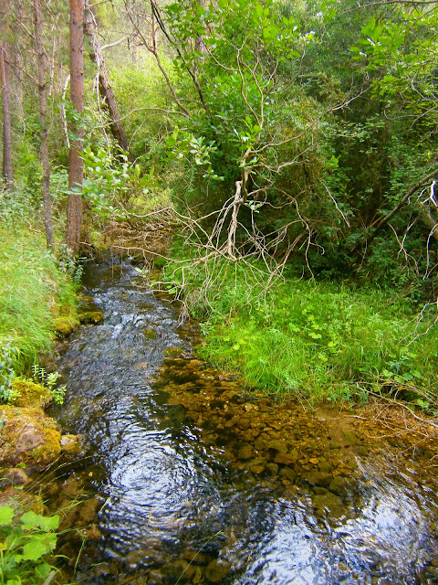 El nacimiento del río Cuervo. Autor: Miguel Alejandro Castillo Moya