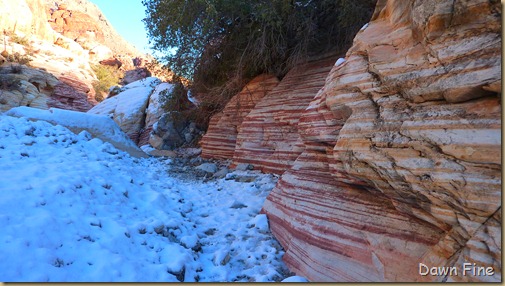 calico basin walk _050