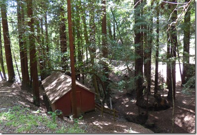 Daybreak Camp --  Cabin among the Redwoods