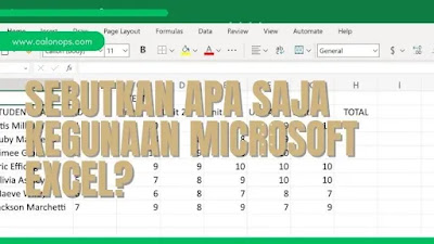 Sebutkan Apa Saja Kegunaan Microsoft Excel?