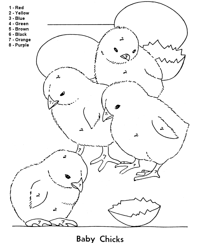 Warna ikut nombor Ayam Gambar Mewarna