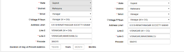 driving licence form