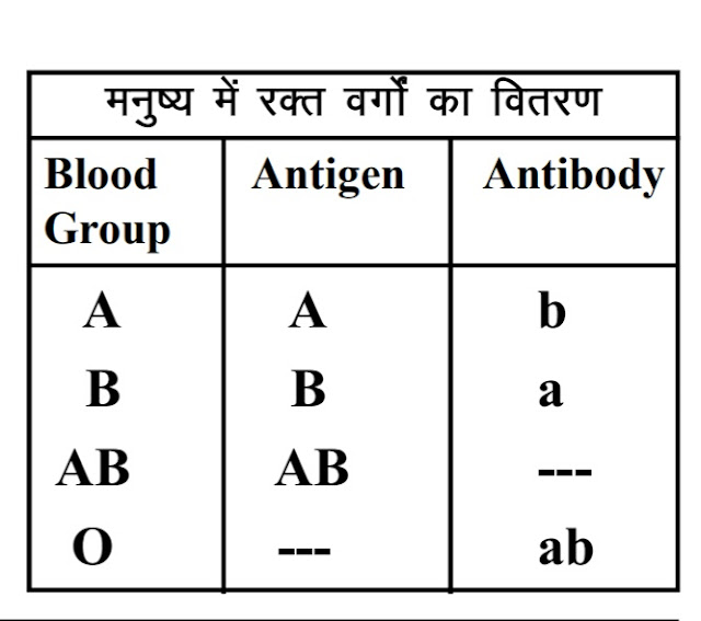  What are the all main functions of blood? What are the 3 stages of blood clotting? Are blood clots dangerous? What are the most common blood clotting disorders?13 blood clotting factors list,blood clotting process simple What are the 4 main blood groups? Which blood group is the best?What is the rarest blood type?How is blood transfusion done?What are the side effects of having a blood transfusion?