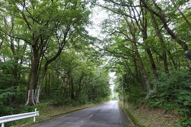 鳥取県道314号線赤松大山線