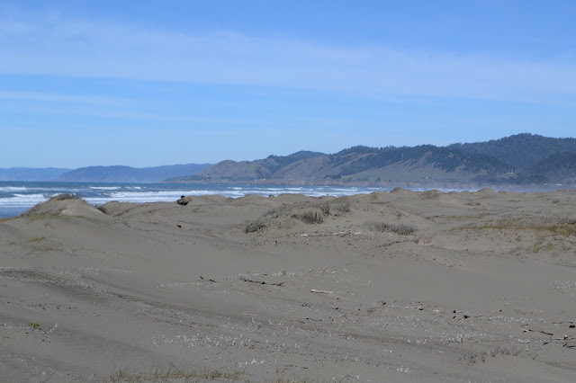 Mendocino coast