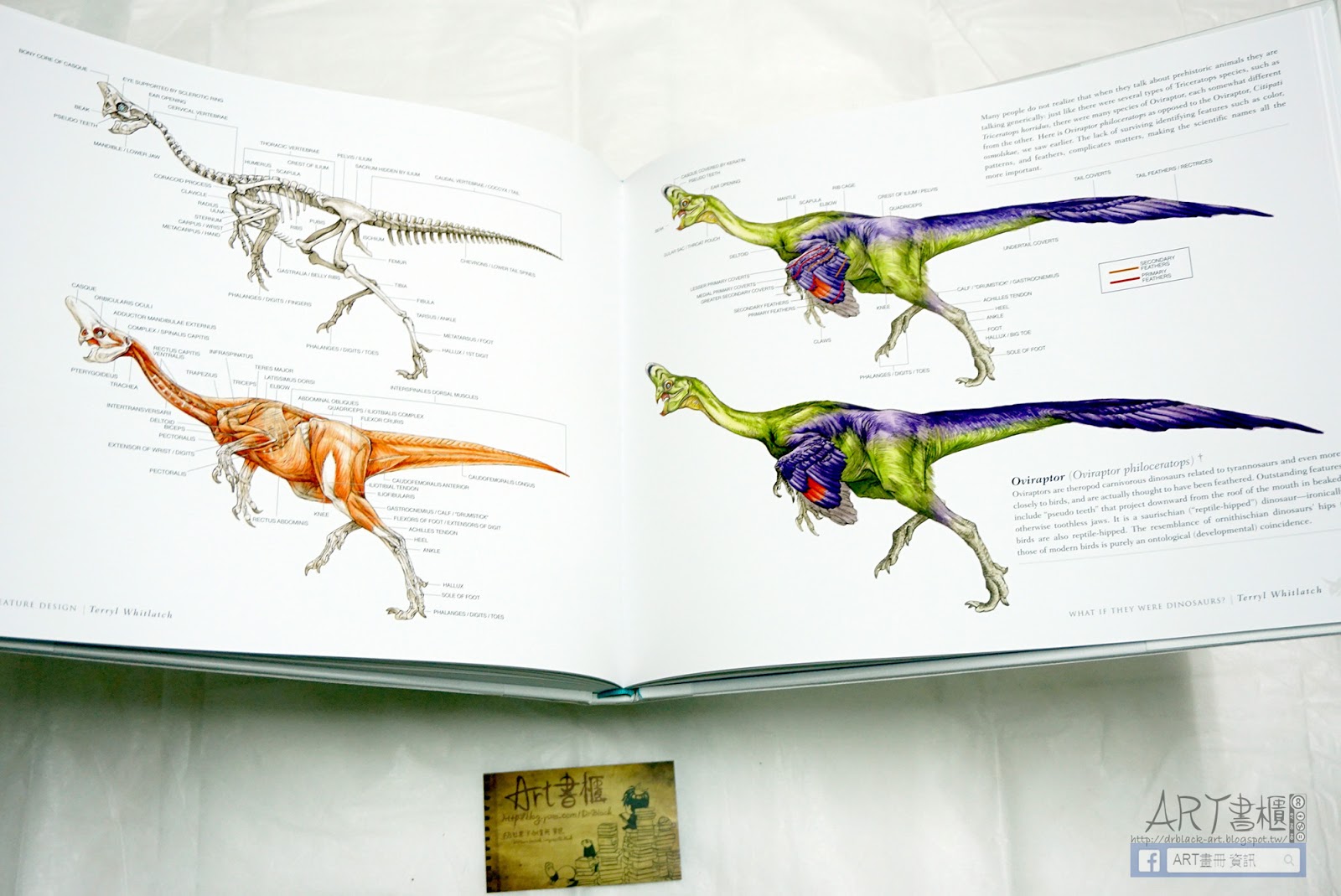 Art Book Review Science Of Creature Design