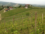 If you might like to see some pictures of the Cascina Francia vineyard, .