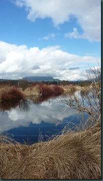 March 2011 067
