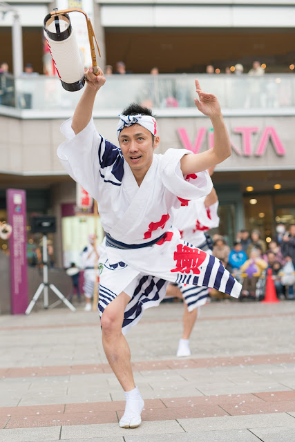 せいせき桜まつり、江戸っ子連の男踊りの写真