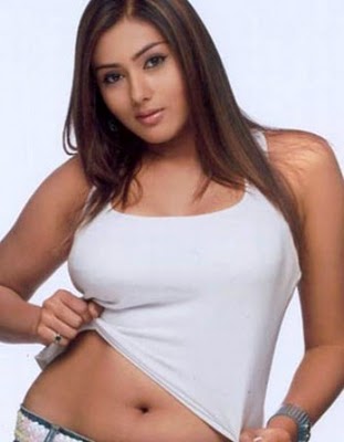 Namitha Hot Wallpapers Hot Tamila Actress Namitha Sexy Photos 