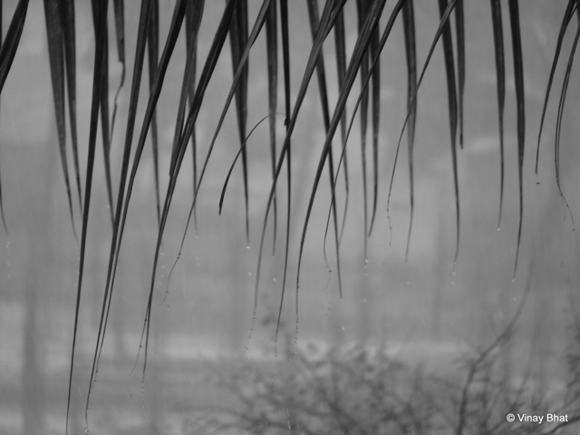 It was another rainy day