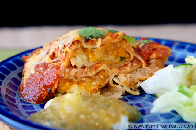 Recipe for a vegetarian enchilada casserole of corn tortillas stuffed with spicy sweet potatoes and onion