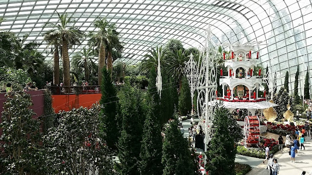 gardens by the bay flower dome overview