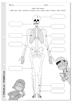 Label me printable - Bones, skeleton Pipo by @evapipo Level Easy KS2, 