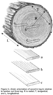 DEFECTS IN WOOD