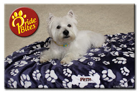 Pierre loves his PrideBites blanket Save 20% with code MKCLINTON