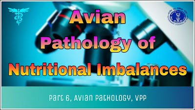 Avian Pathology of Nutritional Imbalances