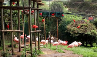 Zoo de Santillana del Mar.