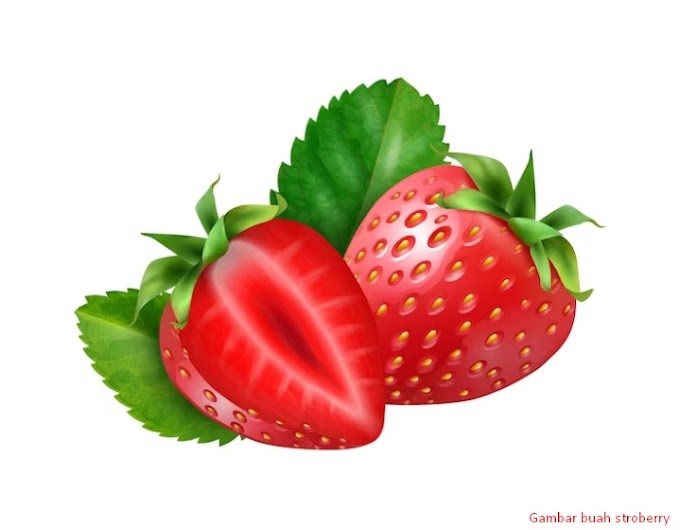 Gambar buah stroberry